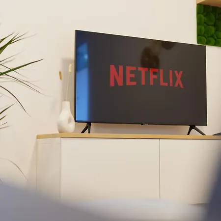 Homeme 1 I Zentral I Netflix I Kueche I Parkplatz I Kliniknah Apartmán