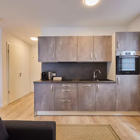 Apartmán Homeme 1 I Zentral I Netflix I Kueche I Parkplatz I Kliniknah *