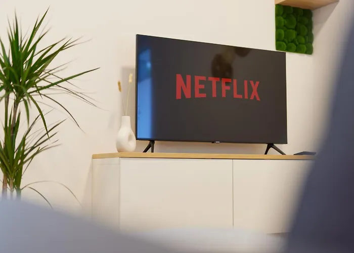 Homeme 1 I Zentral I Netflix I Küche I Parkplatz I Kliniknah Apartment