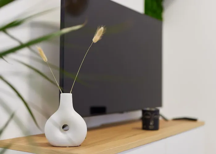 Homeme 1 I Zentral I Netflix I Küche I Parkplatz I Kliniknah Apartment