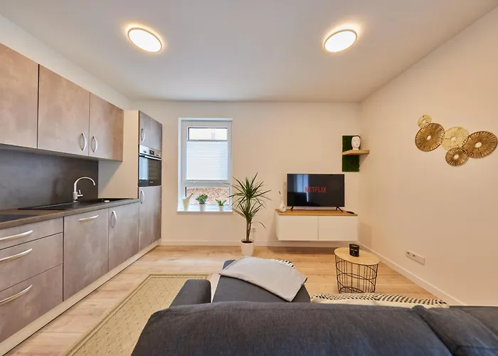 Homeme 1 I Zentral I Netflix I Küche I Parkplatz I Kliniknah Apartment *