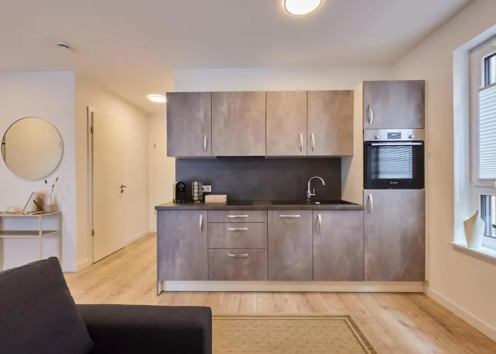 Apartment Homeme 1 I Zentral I Netflix I Kueche I Parkplatz I Kliniknah *